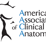 Unearthing Your Anatomical Destiny: Diving Deep into American Association of Anatomists Jobs