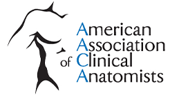 Unearthing Your Anatomical Destiny: Diving Deep into American Association of Anatomists Jobs